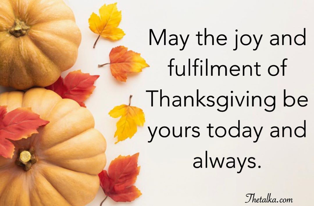 Funny Happy Thanksgiving Messages